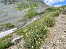 A stream runs through/under snow along the climbing trail