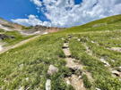 The trail continues to climb up the side of a meadowed slope
