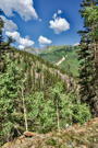 A mountain view with a few Aspen in the foreground and mountain peaks in the distance
