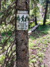 A funny Warning: Please do not feed the sasquatch sign on a tree