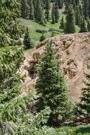 A small mine shaft in sthe side of a rocky slpe surrounded by trees