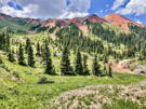 View across a meadow and then trees with a red mountain above