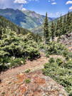 A rocky trail dropping down into trees, mountains in the distance