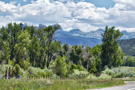Lush trees next to river with mountain peaks in the distance