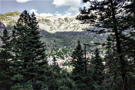 A view of the town Ouray below, shaded trees in foreground and sun-bleached cliffs in the background