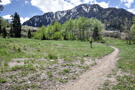 Trail through open meadow with a stand of trees, rock outcropping and then mountain ahead