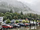 Buildings in Juneau below a forest mountain shrouded in clouds