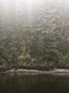 Two bald eagles perched on a fallen tree overlooking the waters