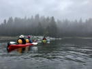 Our kayaks sitting quietly watching a flock of seabirds on a gravel shoreline