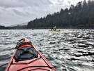 Our kayaks paddling around Robert Island