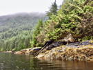 Done with the cascade, rowing along the shore as it starts to rain