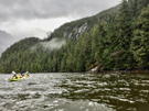 More waterfalls plunging over cliffs back up in the dense forest above the fjord
