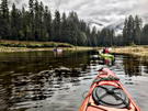 Just to the right of the blue skiff we see a black bear walking along the stream shoreline