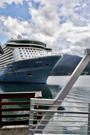 One of many massive cruise ships docked in Juneau