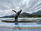 Tahku - a whale sculpture