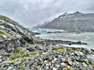 Head of Lamplugh Glacier entering Glacier Bay