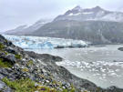 Head of Lamplugh Glacier entering Glacier Bay