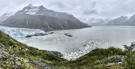 Head of Lamplugh Glacier entering Glacier Bay