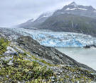 Head of Lamplugh Glacier entering Glacier Bay