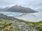 Head of Lamplugh Glacier entering Glacier Bay