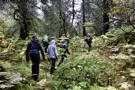Bushwhacking at top of Tidal Inlet