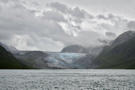 Johns Hopkins Glacier
