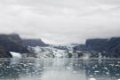 Johns Hopkins Glacier