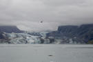 Johns Hopkins Glacier