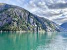 Trees find footholds even in rugged granite cliffs over the fjord waters