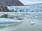 The chunks of ice in the water are increasing as we approach the glacier