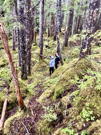Guide and fellow traveler amongst the trees and dense low ground cover