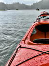 I seemed to have lost my kayaking partner!?
