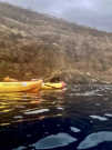 Kayaking on Kealakekua Bay