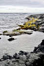 Punalu'u Black Sand Beach