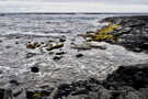 Punalu'u Black Sand Beach