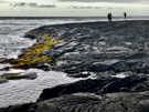 Punalu'u Black Sand Beach