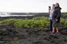 Punalu'u Black Sand Beach