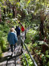 Approaching Nahuku Lava Tube