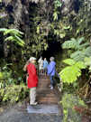 Approaching Nahuku Lava Tube