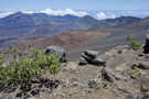 Sliding Sands Trail