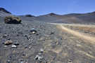 Sliding Sands Trail