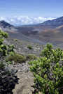 Sliding Sands Trail