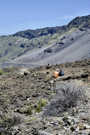 Sliding Sands Trail