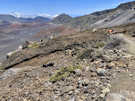 Sliding Sands Trail