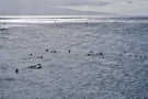 Surfers at Ho’okipa Beach, Road to Hana