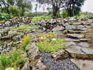 Reykjavík Botanic Garden