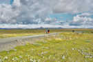 Walkway above Gullfoss with ice sheet in the background