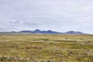 Volcanic mountains with lichen covered ground in the foreground