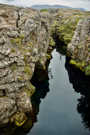 Part of the continental plate separation