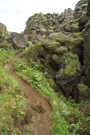 The trail climbs over occasional blockages